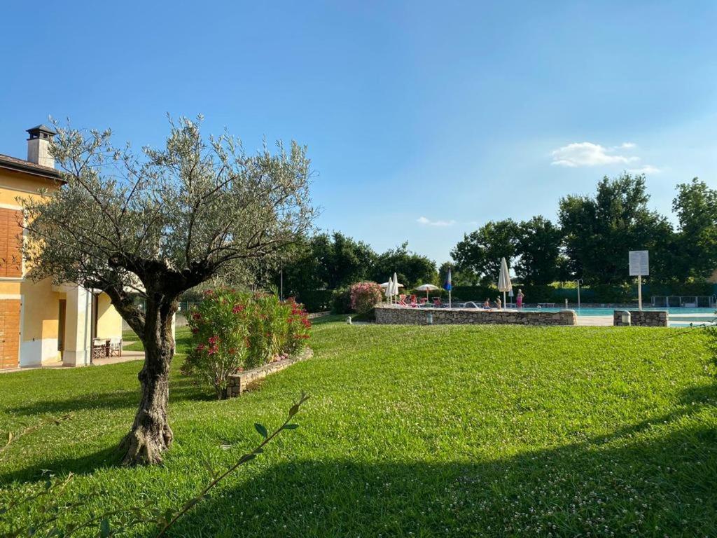 Luxury Apartments - Le Fate - Residence With Pool Manerba del Garda Eksteriør billede